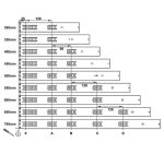 Ray Bi Hafele Matrix